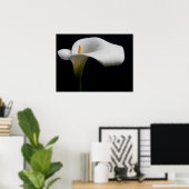 Poster Flowers (homonymie) | White Calla Lily (Bureau à domicile)