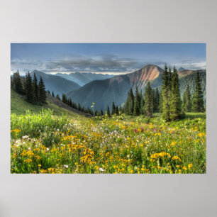 Poster Flowers (homonymie)   Wildflowers Silverton Colora