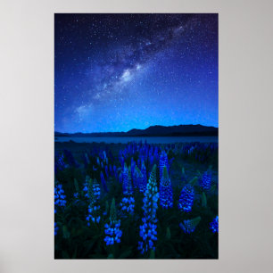 Poster Flowers Lupines Blooming at Night Lake Tekapo