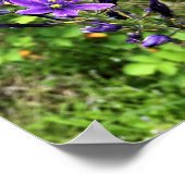 Poster Flowers on the Trail, Oregon (Coin)