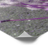 Poster Flowers Purple (Coin)