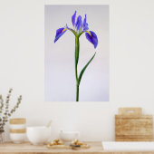 Poster Flowers | Purple Iris Flower (Cuisine)
