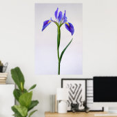 Poster Flowers | Purple Iris Flower (Bureau à domicile)