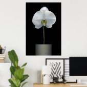 Poster Flowers | White Orchid Flower (Bureau à domicile)