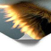 Poster Fluffy 3d meerkat wearing sunglasses (Coin)