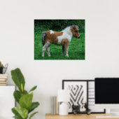 Poster Fluffy Adorable Dartmoor Pony (Bureau à domicile)