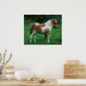 Poster Fluffy Adorable Dartmoor Pony (Cuisine)
