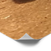 Poster Fluffy Black Kitten (Coin)