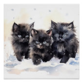 Poster Fluffy Black Kittens (Devant)