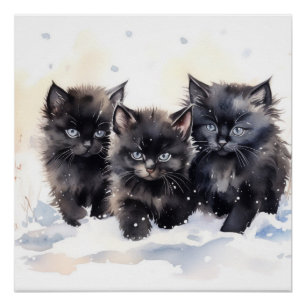 Poster Fluffy Black Kittens