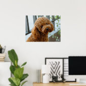 Poster Fluffy Brown Poodle Chien chiot (Bureau à domicile)
