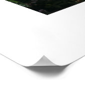 Poster Fluffy dans la fenêtre (Coin)