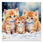 Poster Fluffy Ginger Kittens (Devant)