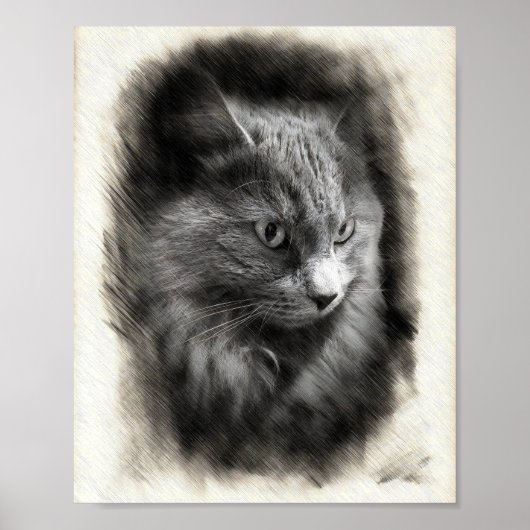 Poster Fluffy Gray Cat Sketch - Soft Feline Portrait Art  (Devant)