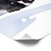 Poster Fluffy Kittens (Coin)