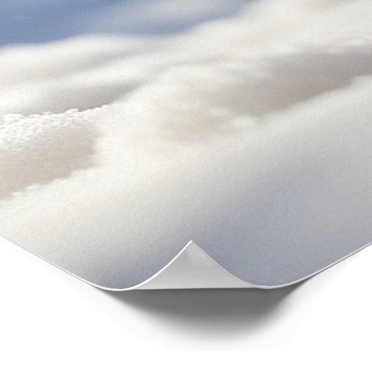 Poster *~* Fluffy Kitty Chat 5:4 Kitten AP68 Boule de nei (Coin)