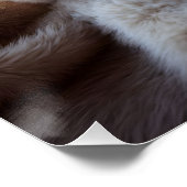 Poster Fluffy red kitten playing with a tiny teddy bear,  (Coin)