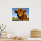 Poster Fluffy Scottish Highland Cow (Cuisine)