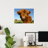 Poster Fluffy Scottish Highland Cow (Bureau à domicile)