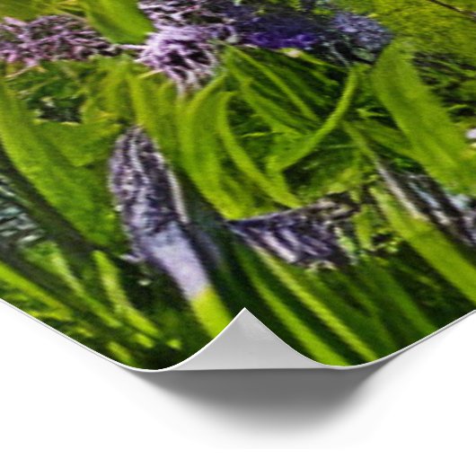 Poster Fluffy Sheep champ de fleurs violettes (Coin)