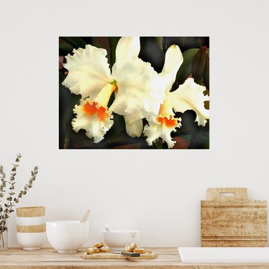 Poster Fluffy White Chat...tleyas (Cuisine)