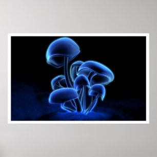 Poster Fluorescence