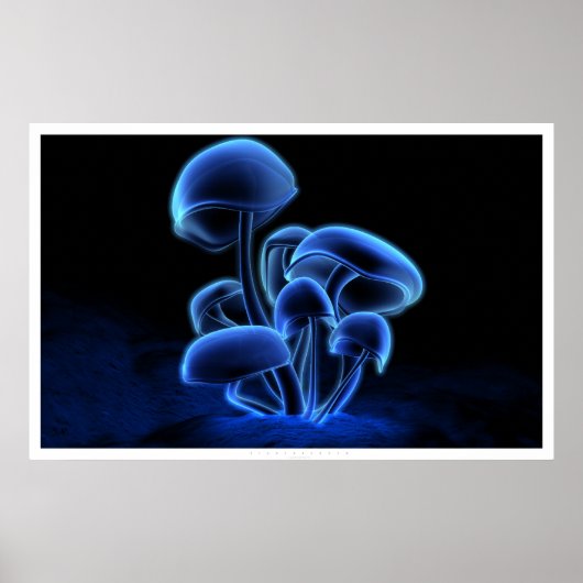 Poster Fluorescence (Devant)