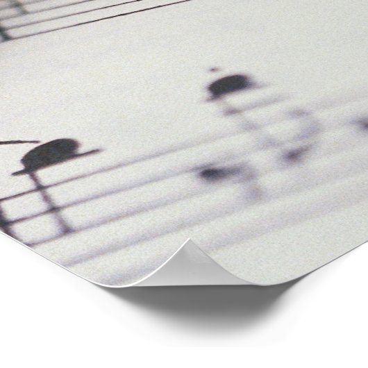 Poster Flûte sur partition (Coin)