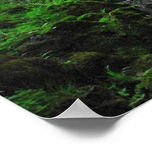 Poster Flux au printemps (Coin)