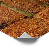 Poster Flux Automne (Coin)