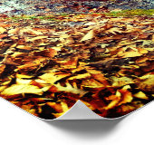 Poster Flux Automne (Coin)