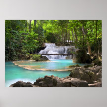 Flux dans la forêt tropicale