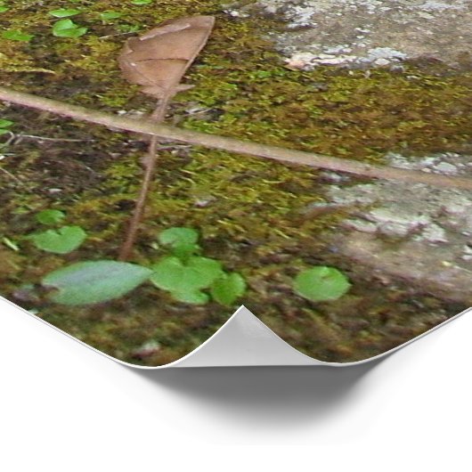 Poster flux de conscience (Coin)