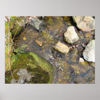 Poster flux de conscience