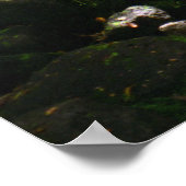 Poster Flux de la vallée de Manoa (Coin)