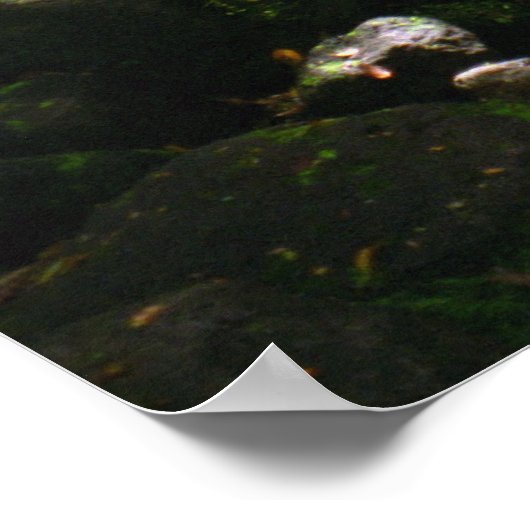 Poster Flux de la vallée de Manoa (Coin)