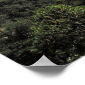 Poster Flux de lave de Batur (Coin)