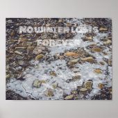 Poster Flux de montagne gelé (Devant)