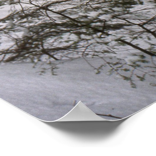 Poster Flux en hiver (Coin)