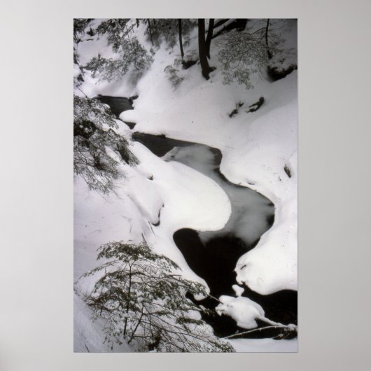 Poster Flux en hiver (Devant)