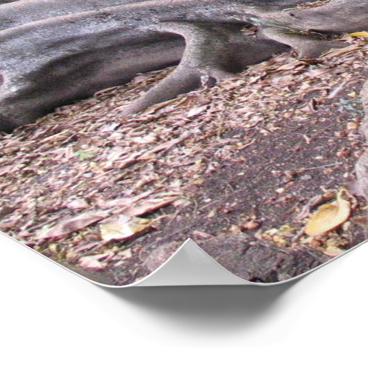 Poster Flux général (Coin)