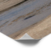 Poster Flux - Plage de Scott Creek (Coin)