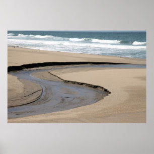 Poster Flux - Plage de Scott Creek