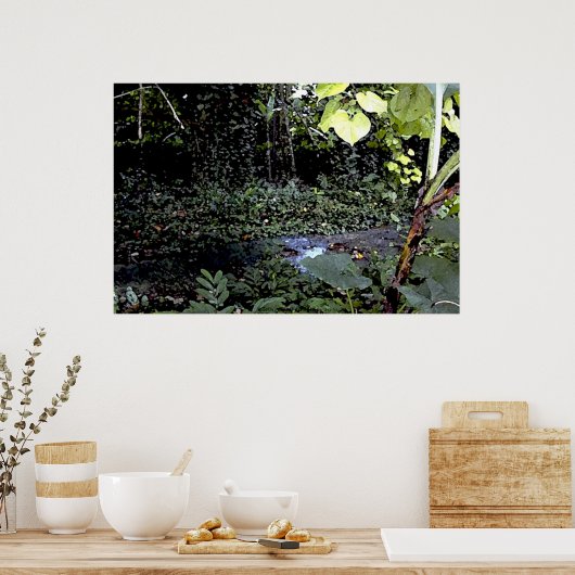 Poster Flux tropicaux (Cuisine)