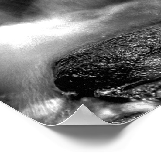 Poster Flux X (Coin)