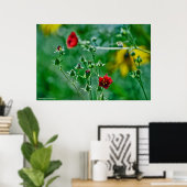 Poster Fly-By dans le jardin (Bureau à domicile)