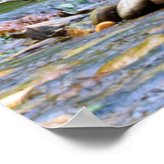 Poster Fly Fishing Day Dream (Coin)