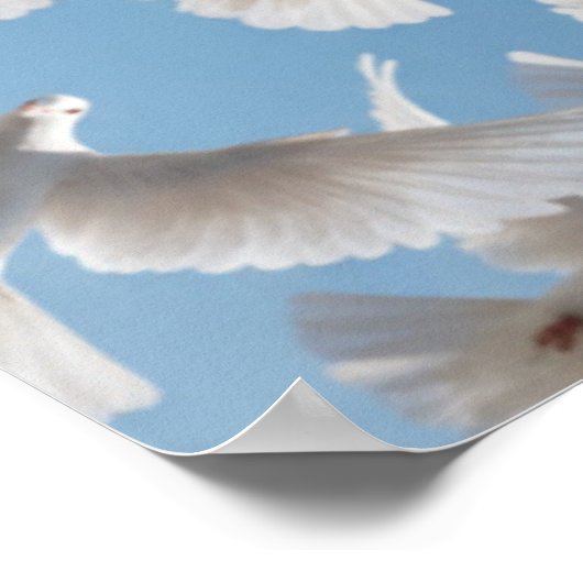 Poster fly toward the light (Coin)