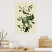 Poster Flycatcher (Cuisine)