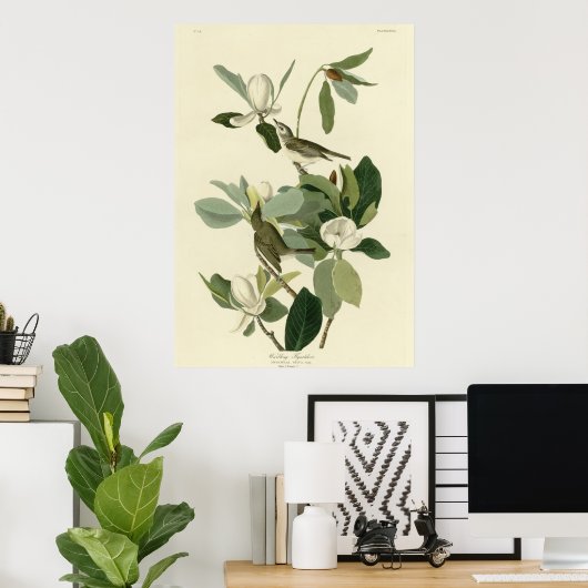 Poster Flycatcher (Bureau à domicile)